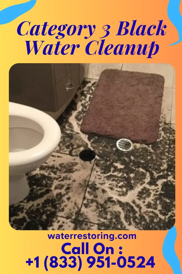 Category 3 Black Water Cleanup in Berry Hill, TN