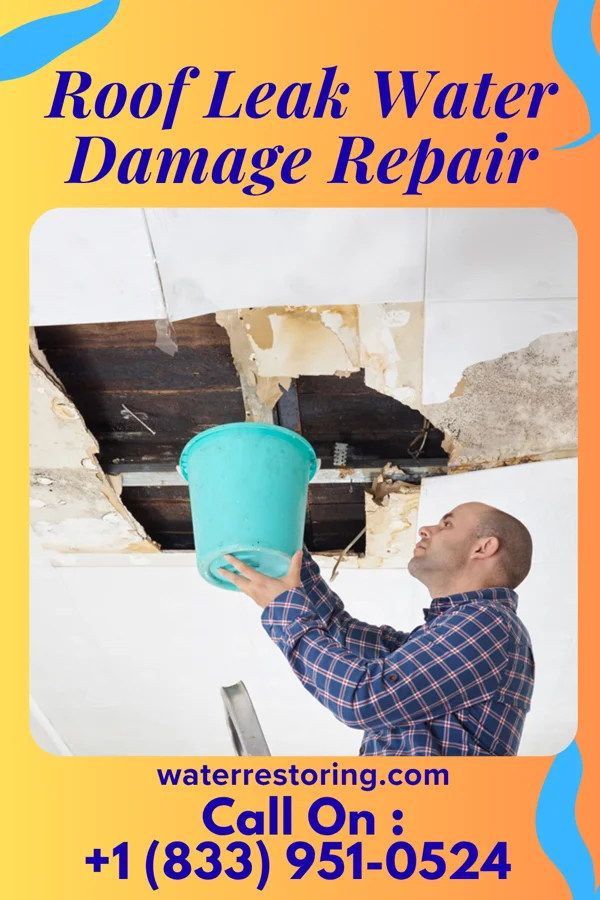 Roof Leak Water Damage Repair in Berry Hill, TN