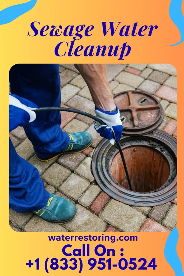 Sewage Water Cleanup in Berry Hill, TN